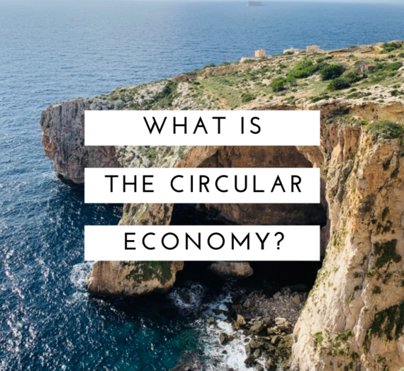What is the circular economy?