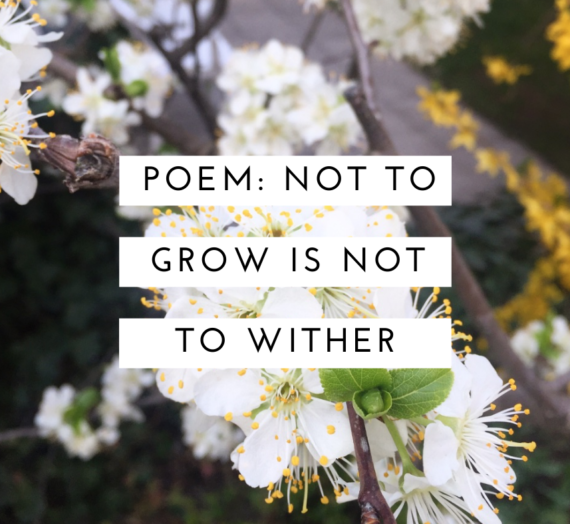 Not to grow is not to wither